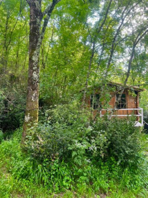 Cabane dans les bois